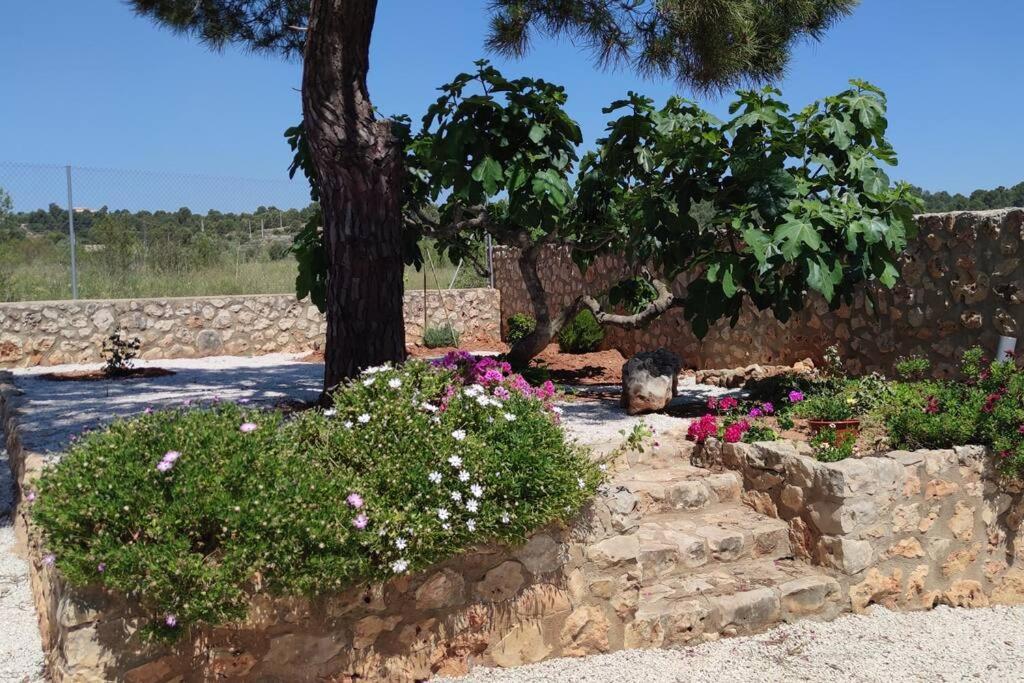 הוילה צ'לה Casa El Calderon מראה חיצוני תמונה